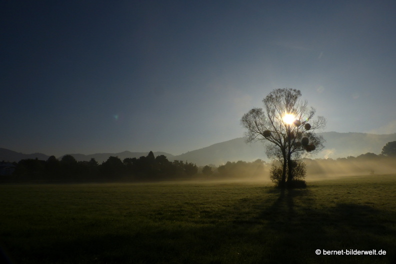 21-10-10-alte b3-fruehnebel-013.jpg