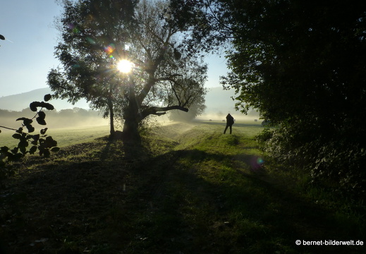 21-10-10-alte b3-fruehnebel-023