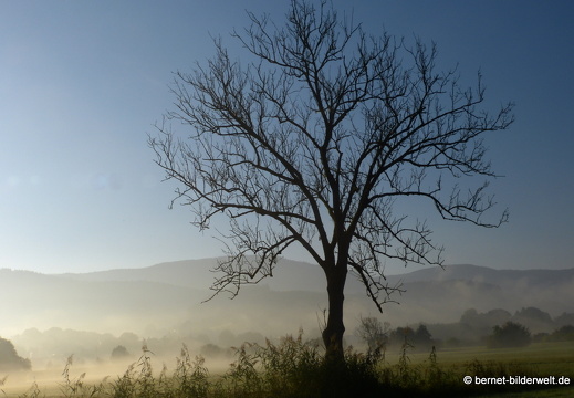 21-10-10-alte b3-fruehnebel-038