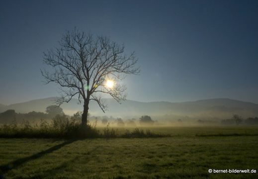 21-10-10-alte b3-fruehnebel-042