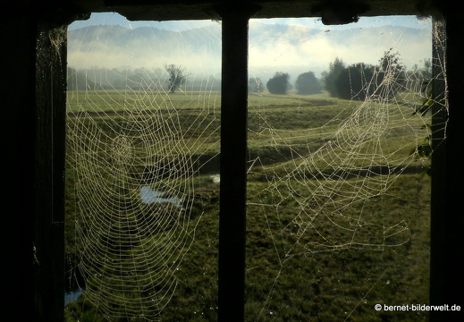 21-10-10-alte b3-fruehnebel-spinnennetz-009