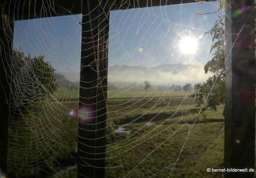 21-10-10-alte b3-fruehnebel-spinnennetz-013