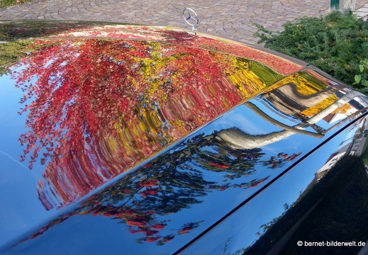 21-10-19-lohmuellerstrasse-013