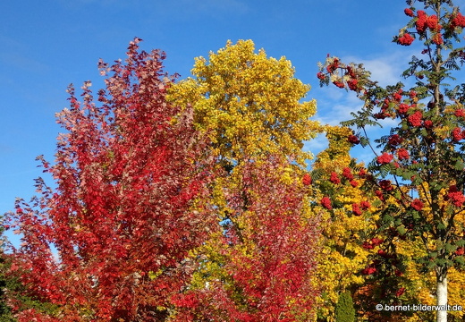 21-10-19-lohmuellerstrasse-