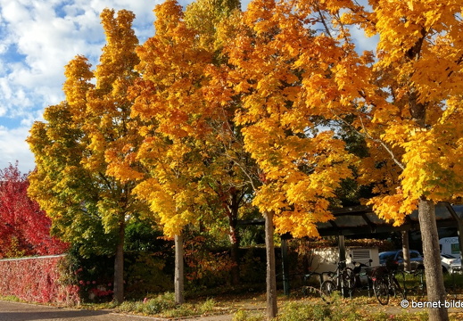 21-10-19-spaziergang vor umzug-zentrum-lohmuellerstrasse-001