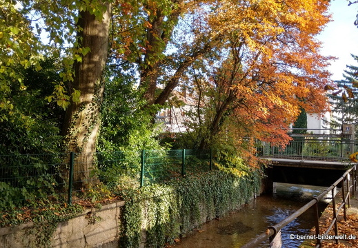 21-10-19-spaziergang vor umzug-zentrum-stadtgarten-002