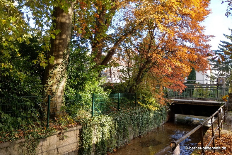 21-10-19-spaziergang vor umzug-zentrum-stadtgarten-002.jpg