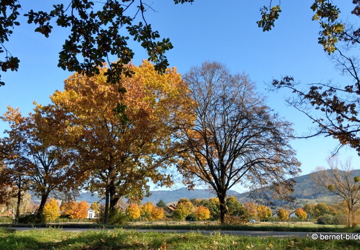 21-10-25-alte b3-002