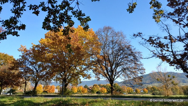 21-10-25-alte b3-002.jpg