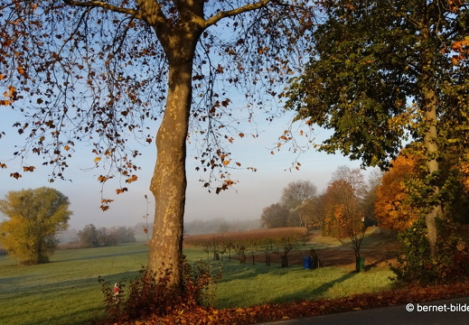 21-11-05-alte b3-007