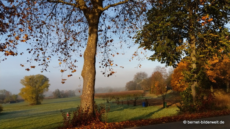 21-11-05-alte b3-007.jpg