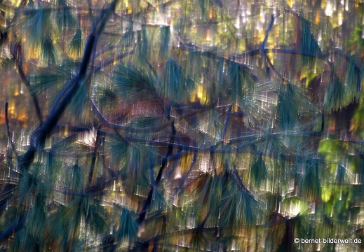 21-11-06-alte b3-fruehnebel-027