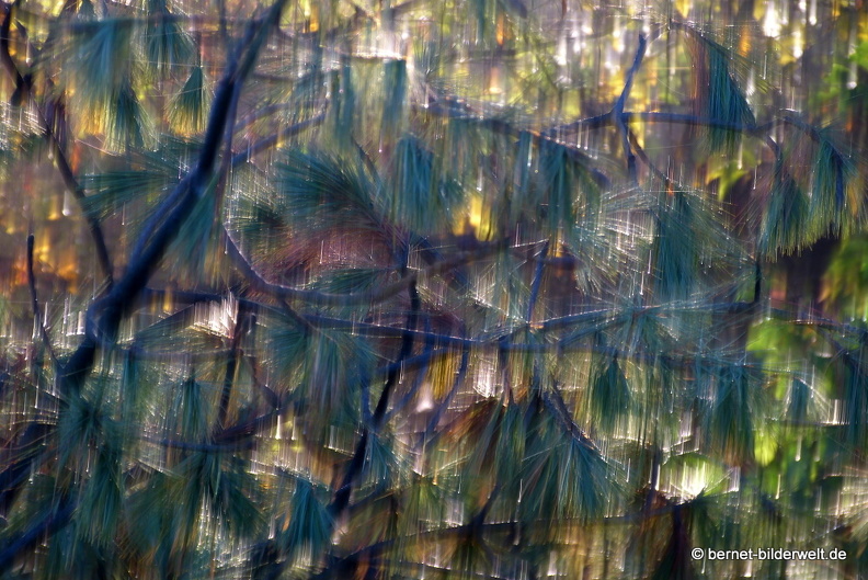 21-11-06-alte b3-fruehnebel-027.jpg