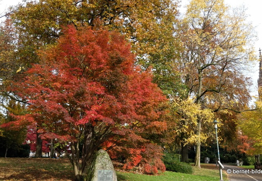 21-11-05-stadtgarten-