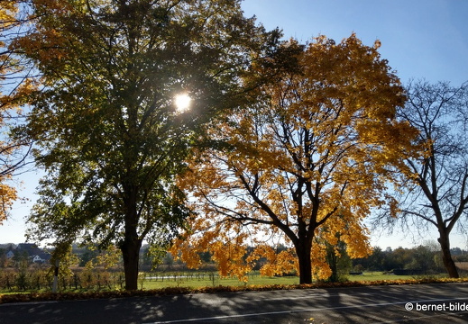 21-11-09-rungsstrasse-001