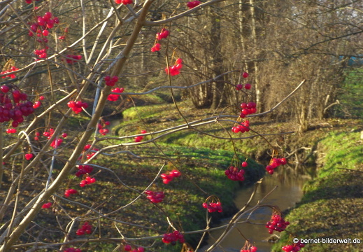 21-12-18-dangscheer-salzwaesserle-001