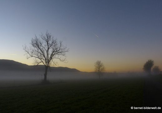 21-12-31-salzwaesserle-alteb3-morgendaemmerung- -021