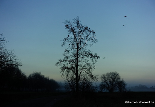 21-12-31-salzwaesserle-alteb3-morgendaemmerung- -105