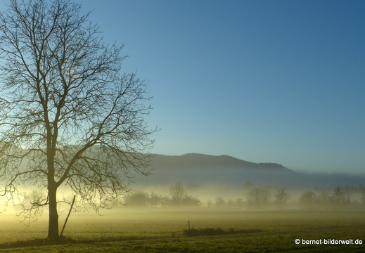 21-12-31-salzwaesserle-alteb3-morgendaemmerung- -176
