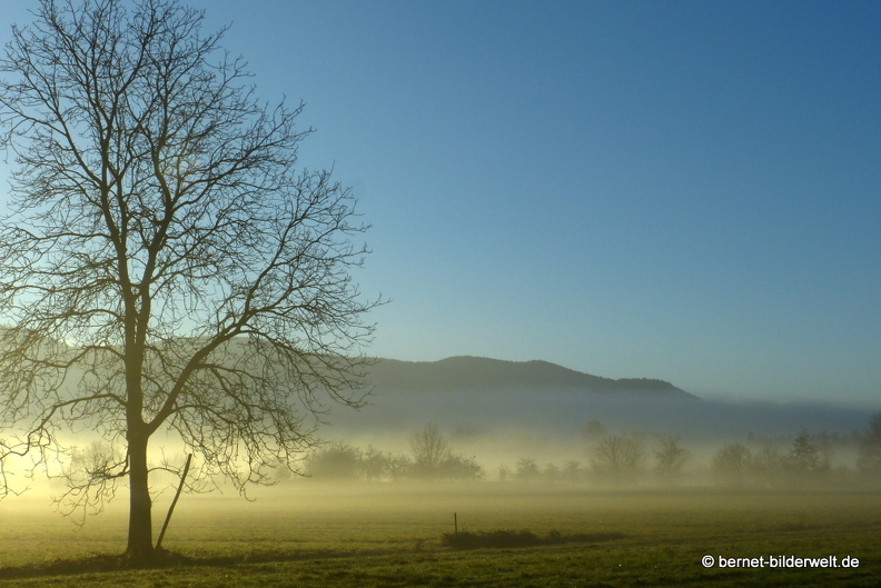 21-12-31-salzwaesserle-alteb3-morgendaemmerung- -176.jpg