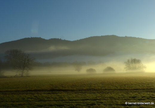 21-12-31-salzwaesserle-alteb3-morgendaemmerung- -168