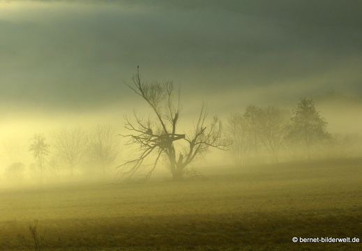 21-12-31-salzwaesserle-alteb3-morgendaemmerung- -181