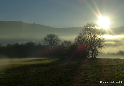 21-12-31-salzwaesserle-alteb3-morgendaemmerung- -187