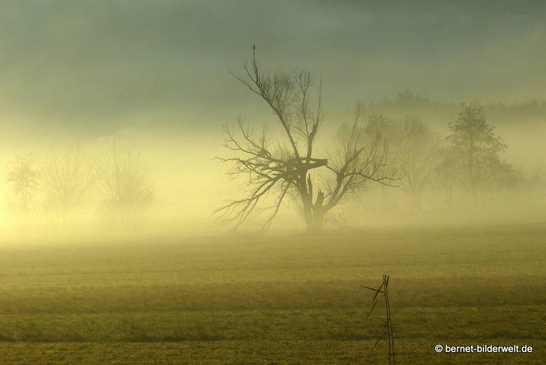 21-12-31-salzwaesserle-alteb3-morgendaemmerung- -184.jpg
