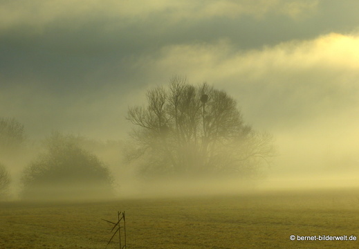 21-12-31-salzwaesserle-alteb3-morgendaemmerung- -183