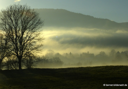 21-12-31-salzwaesserle-alteb3-morgendaemmerung- -192