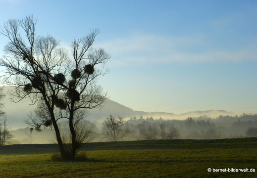 21-12-31-salzwaesserle-alteb3-morgendaemmerung- -212