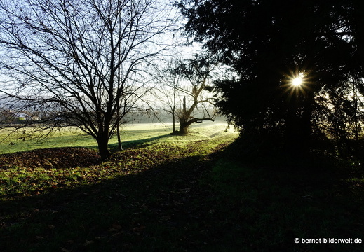 21-12-31-salzwaesserle-alteb3-morgendaemmerung- -214