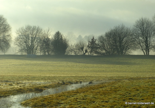 21-12-31-salzwaesserle-alteb3-morgendaemmerung- -217