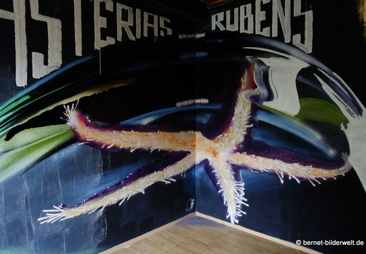 20-07-25-expo-station2020-sybelcentrum-graffiti-169