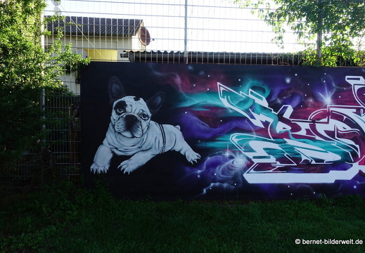20-06-21-graffiti-haid-und neustrasse-combo-002