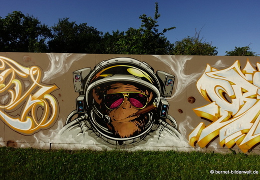 20-06-21-graffiti-haid-und neustrasse-combo-007