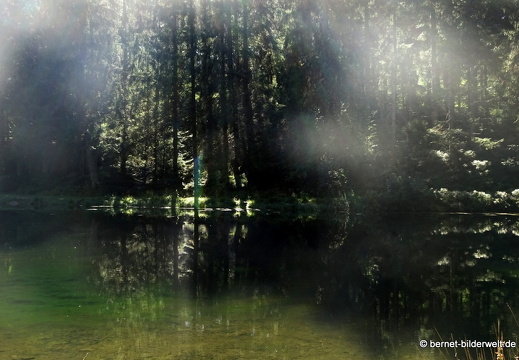 20-09-09-sandsee-103