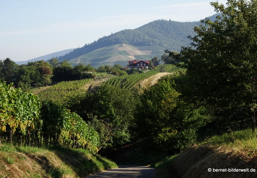 20-09-15-guckenhuette-018