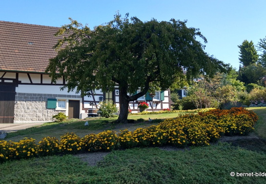 20-09-15-guckenhuette-brombach-015