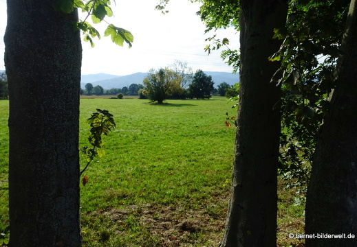 20-09-03-stoeckich-043