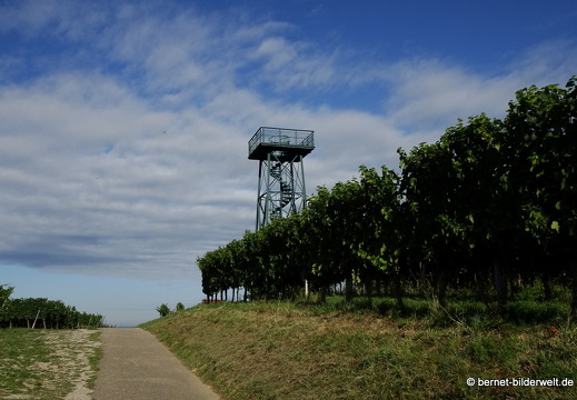 20-09-04-carl-netter-turm-spaziergang-004