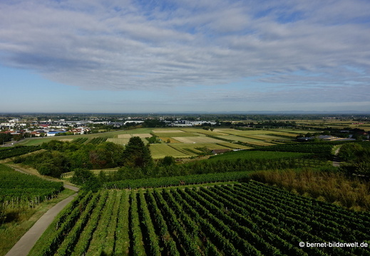 20-09-04-carl-netter-turm-spaziergang-014