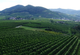 20-09-04-carl-netter-turm-spaziergang-027