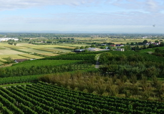 20-09-04-carl-netter-turm-spaziergang-029