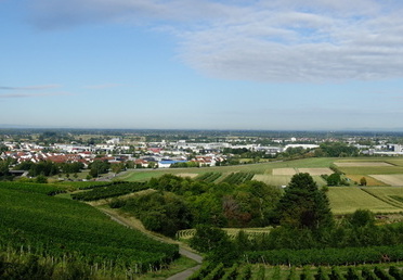 20-09-04-carl-netter-turm-spaziergang-031