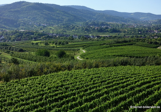 20-09-04-carl-netter-turm-spaziergang-035