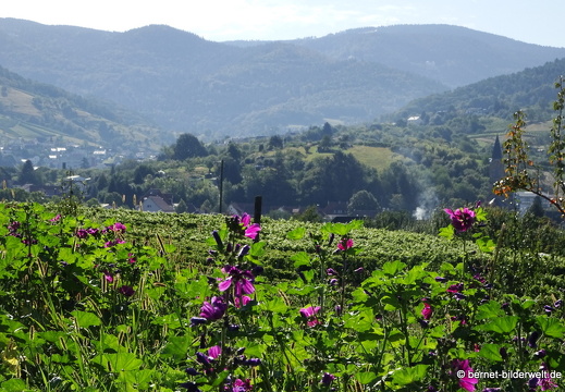 20-09-04-carl-netter-turm-spaziergang-054
