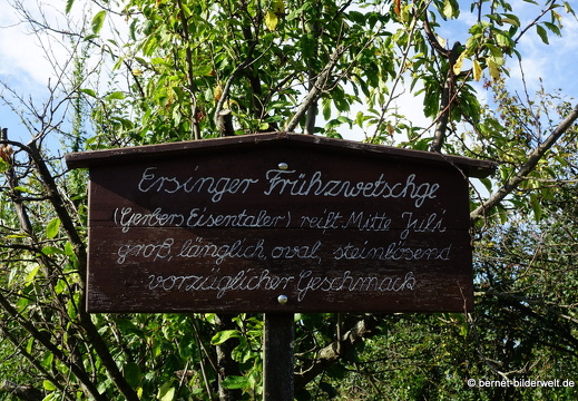 20-09-04-carl-netter-turm-spaziergang-doku