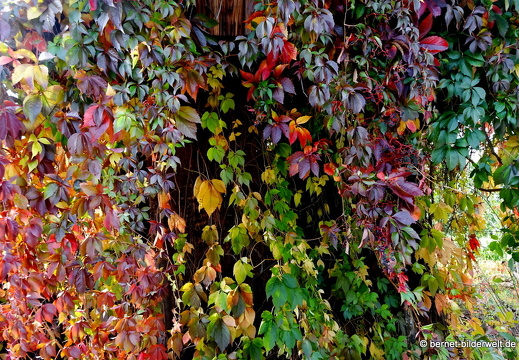 20-10-04-carl-netter-turm-046