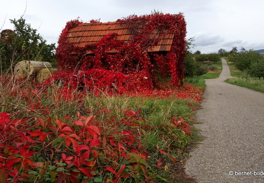 20-10-09-weinberghuette-001